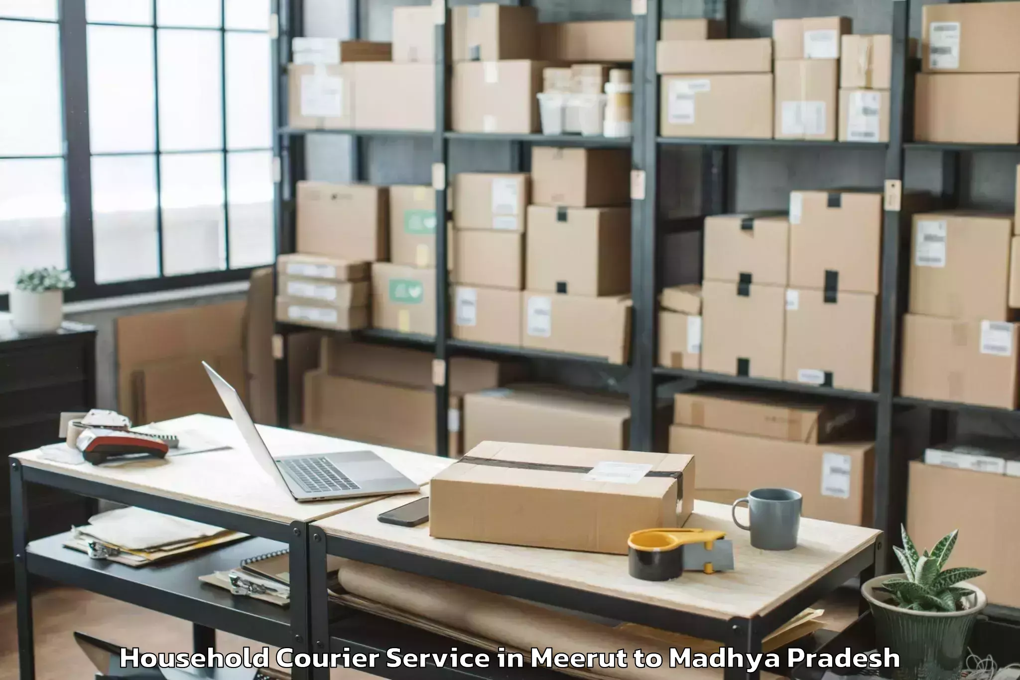 Easy Meerut to Petlawad Household Courier Booking